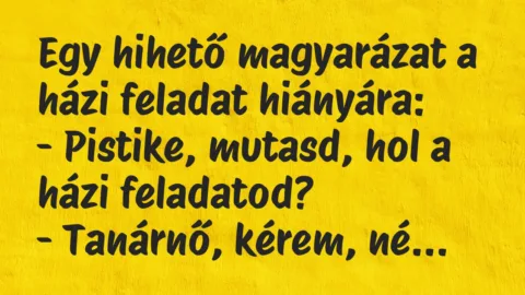 Vicc: Egy hihető magyarázat a házi feladat hiányára…
