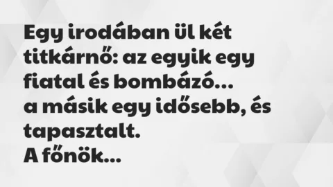 Vicc: Egy irodában ül két titkárnő: az egyik egy fiatal és bombázó…
