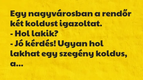 Vicc: Egy nagyvárosban a rendőr két koldust igazoltat…