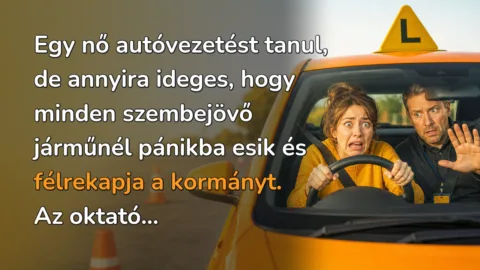 Vicc: Egy nő autóvezetést tanul, de annyira ideges, hogy minden szembejövő... Egy nő autóvezetést tanul, de annyira ideges, hogy minden szembejövő járműnél pánikba esik és félrekapja a kormányt. Az oktató...