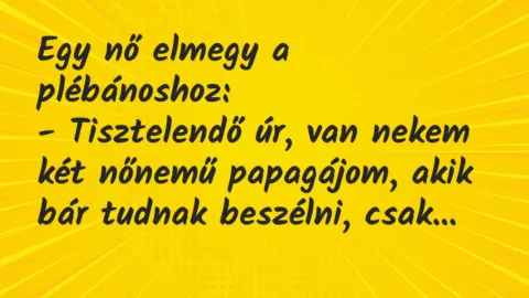 Vicc: Egy nő elmegy a plébánoshoz…