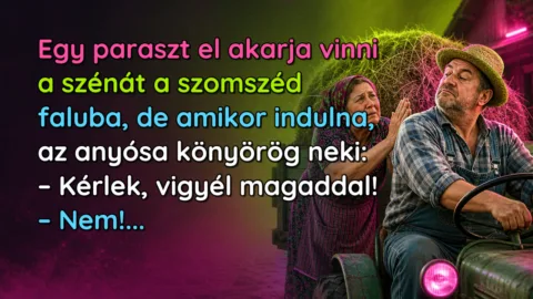 Egy paraszt el akarja vinni a szénát a szomszéd faluba, de amikor indulna, az anyósa könyörög neki: – Kérlek, vigyél magaddal! – Nem!...