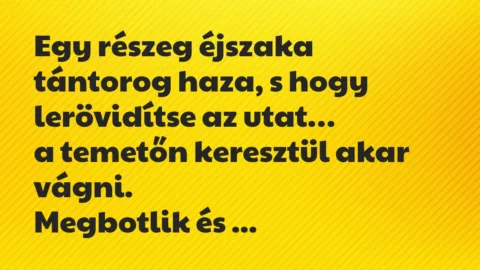 Vicc: Egy részeg éjszaka tántorog haza, s hogy lerövidítse az utat… Vicc: Egy részeg éjszaka tántorog haza, s hogy lerövidítse az utat…