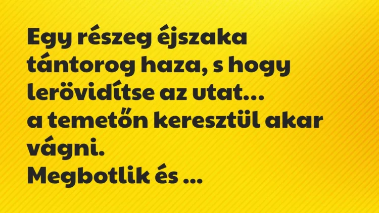 Vicc: Egy részeg éjszaka tántorog haza, s hogy lerövidítse az utat… Vicc: Egy részeg éjszaka tántorog haza, s hogy lerövidítse az utat…