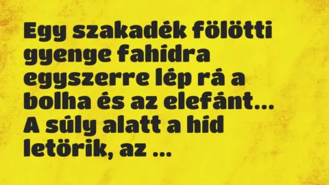 Vicc: Egy szakadék fölötti gyenge fahídra egyszerre lép rá a bolha…