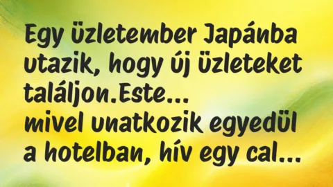 Vicc: Egy üzletember Japánba utazik, hogy új üzleteket találjon.Este…