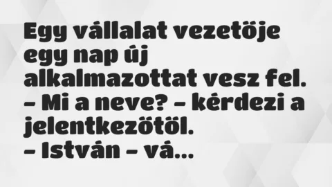 Vicc: Egy vállalat vezetője egy nap új alkalmazottat vesz fel…