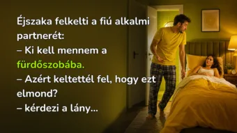 Vicc: Éjszaka felkelti a fiú alkalmi partnerét... Éjszaka felkelti a fiú alkalmi partnerét: – Ki kell mennem a fürdőszobába. – Azért keltettél fel, hogy ezt elmond? – kérdezi a lány...