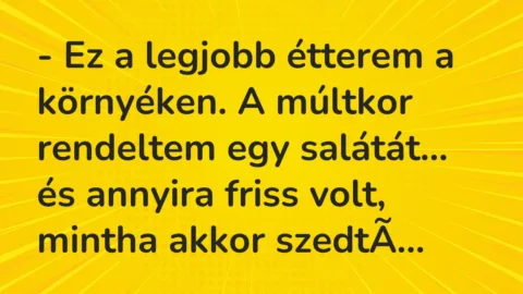 Vicc: Ez a legjobb étterem a környéken. A múltkor rendeltem egy salátát…
