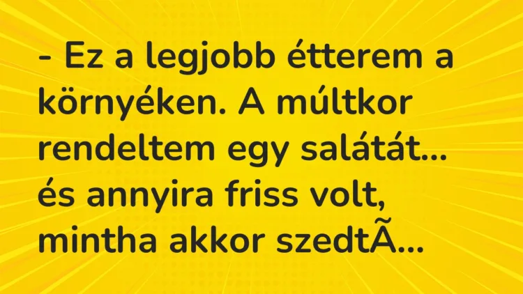 Vicc: Ez a legjobb étterem a környéken. A múltkor rendeltem egy salátát… Vicc: Ez a legjobb étterem a környéken. A múltkor rendeltem egy salátát…