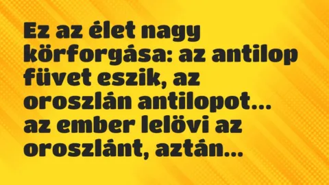 Vicc: Ez az élet nagy körforgása: az antilop füvet eszik, az oroszlán…