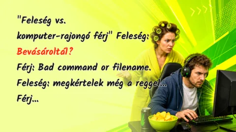 "Feleség vs. komputer-rajongó férj" Feleség: Bevásároltál? Férj: Bad command or filename. Feleség: megkértelek még a reggel... Férj...