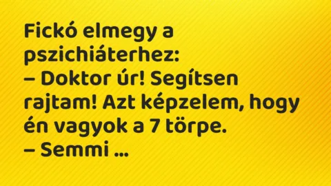 Vicc: Fickó elmegy a pszichiáterhez… Vicc: Fickó elmegy a pszichiáterhez…