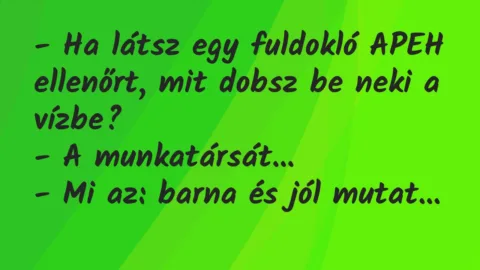 Vicc: Ha látsz egy fuldokló APEH ellenőrt, mit dobsz be neki a vízbe?