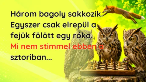 Három bagoly sakkozik. Egyszer csak elrepül a fejük fölött egy róka. Mi nem stimmel ebben a sztoriban...