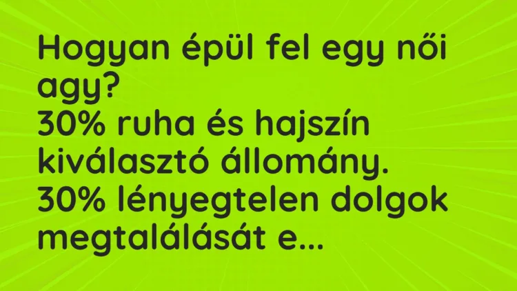 Vicc: Hogyan épül fel egy női agy? Vicc: Hogyan épül fel egy női agy?