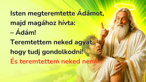 Isten megteremtette Ádámot, majd magához hívta: – Ádám! Teremtettem neked agyat, hogy tudj gondolkodni! És teremtettem neked nemi...