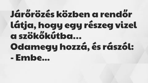Vicc: Járőrözés közben a rendőr látja, hogy egy részeg vizel a szökőkútba… Vicc: Járőrözés közben a rendőr látja, hogy egy részeg vizel a szökőkútba…