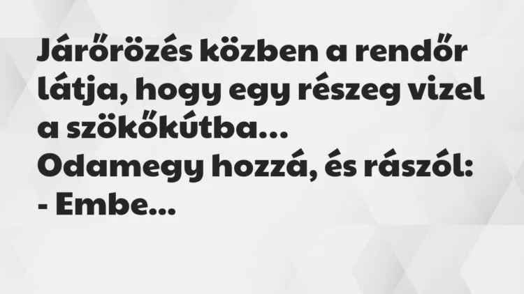 Vicc: Járőrözés közben a rendőr látja, hogy egy részeg vizel a szökőkútba… Vicc: Járőrözés közben a rendőr látja, hogy egy részeg vizel a szökőkútba…