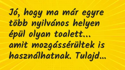 Vicc: Jó, hogy ma már egyre több nyilvános helyen épül olyan toalett…
