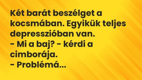 Vicc: Két barát beszélget a kocsmában. Egyikük teljes depresszióban van…