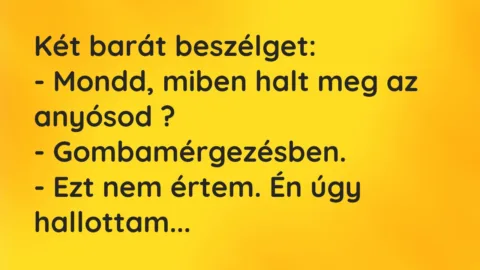 Vicc: Két barát beszélget…