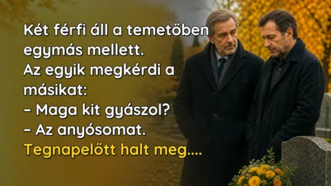 Két férfi áll a temetőben egymás mellett. Az egyik megkérdi a másikat: – Maga kit gyászol? – Az anyósomat. Tegnapelőtt halt meg....
