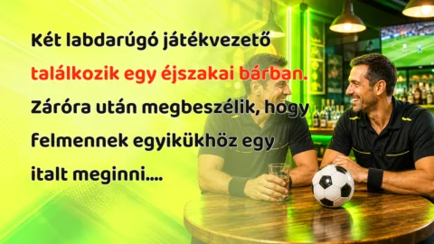 Két labdarúgó játékvezető találkozik egy éjszakai bárban. Záróra után megbeszélik, hogy felmennek egyikükhöz egy italt meginni....