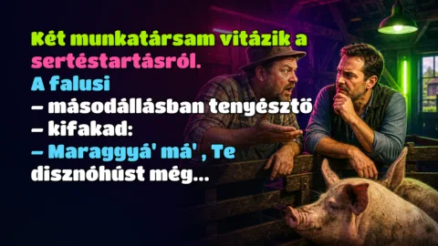 Két munkatársam vitázik a sertéstartásról. A falusi – másodállásban tenyésztő – kifakad: – Maraggyá' má' , Te disznóhúst még...