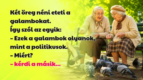 Két öreg néni eteti a galambokat. Így szól az egyik: – Ezek a galambok olyanok, mint a politikusok. – Miért? – kérdi a másik...