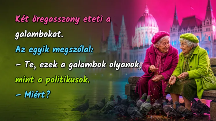 Vicc: Két öregasszony eteti a galambokat. Az egyik megszólal... Két öregasszony eteti a galambokat. Az egyik megszólal: – Te, ezek a galambok olyanok, mint a politikusok. – Miért?
