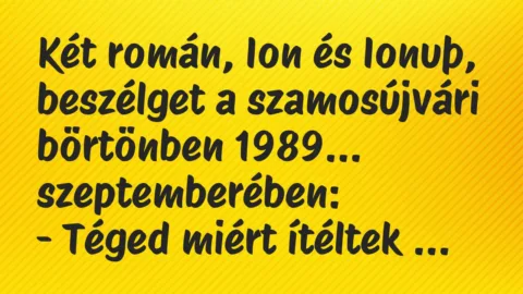 Vicc: Két román, Ion és Ionuþ, beszélget a szamosújvári börtönben 1989…