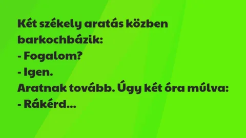 Vicc: Két székely aratás közben barkochbázik…