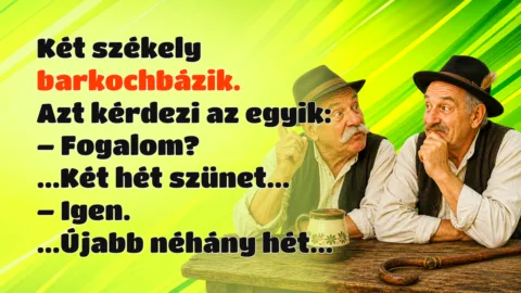 Vicc: Két székely barkochbázik. Azt kérdezi az egyik... Két székely barkochbázik. Azt kérdezi az egyik: – Fogalom? ...Két hét szünet... – Igen. ...Újabb néhány hét...