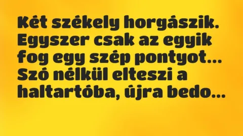 Vicc: Két székely horgászik. Egyszer csak az egyik fog egy szép pontyot…