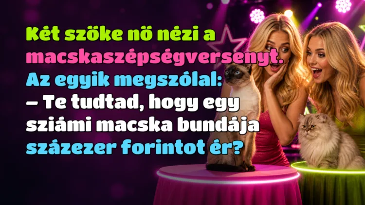 Vicc: Két szőke nő nézi a macskaszépségversenyt. Az egyik megszólal... Két szőke nő nézi a macskaszépségversenyt. Az egyik megszólal: – Te tudtad, hogy egy sziámi macska bundája százezer forintot ér?