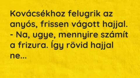 Vicc: Kovácsékhoz felugrik az anyós, frissen vágott hajjal…