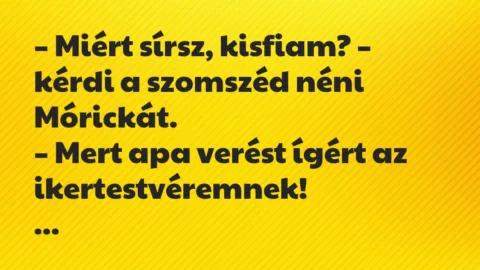 Vicc: Miért sírsz, kisfiam? – kérdi a szomszéd néni Mórickát…