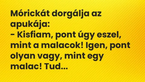 Vicc: Mórickát dorgálja az apukája… Vicc: Mórickát dorgálja az apukája…
