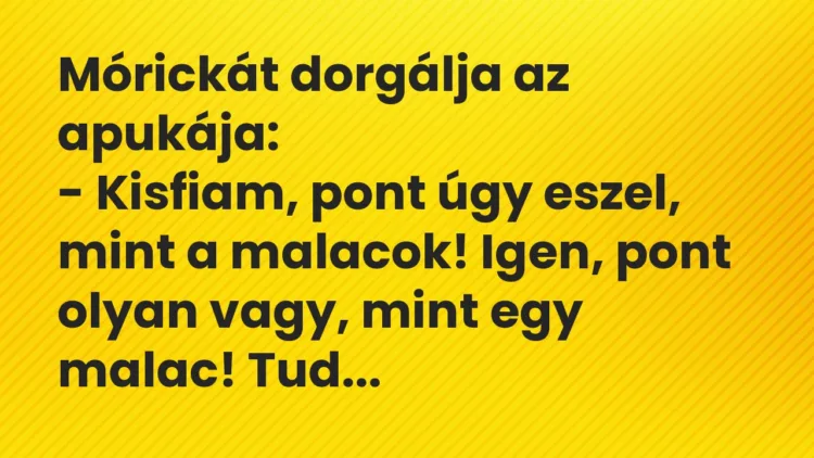 Vicc: Mórickát dorgálja az apukája… Vicc: Mórickát dorgálja az apukája…