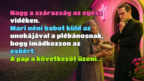 Nagy a szárazság az egész vidéken. Mari néni babot küld az unokájával a plébánosnak, hogy imádkozzon az esőért. A pap a következőt üzeni...