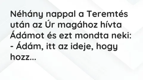 Vicc: Néhány nappal a Teremtés után az Úr magához hívta Ádámot és ezt mondta…