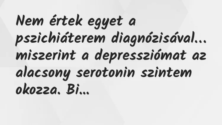 Vicc: Nem értek egyet a pszichiáterem diagnózisával, miszerint… Vicc: Nem értek egyet a pszichiáterem diagnózisával, miszerint…