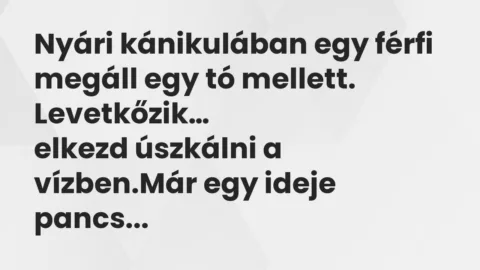 Vicc: Nyári kánikulában egy férfi megáll egy tó mellett. Levetkőzik…
