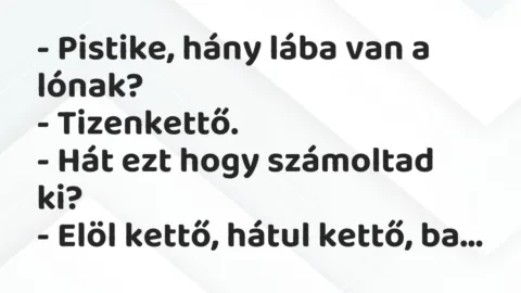 Vicc: Pistike, hány lába van a lónak? Vicc: Pistike, hány lába van a lónak?