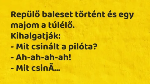 Vicc: Repülő baleset történt és egy majom a túlélő… Vicc: Repülő baleset történt és egy majom a túlélő…