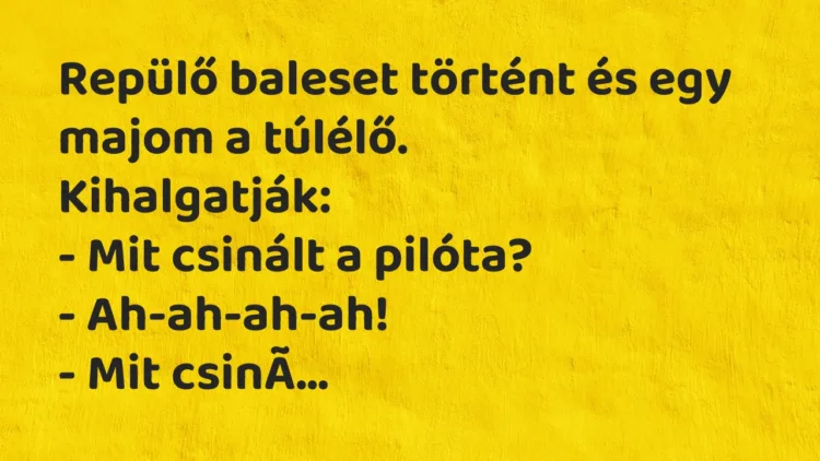 Vicc: Repülő baleset történt és egy majom a túlélő… Vicc: Repülő baleset történt és egy majom a túlélő…