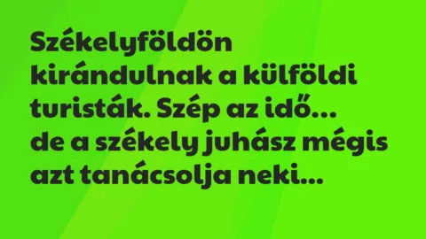 Vicc: Székelyföldön kirándulnak a külföldi turisták. Szép az idő… Vicc: Székelyföldön kirándulnak a külföldi turisták. Szép az idő…