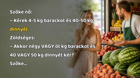 Szőke nő: – Kérek 4-5 kg barackot és 40-50 kg dinnyét. Zöldséges: – Akkor négy VAGY öt kg barackot és 40 VAGY 50 kg dinnyét kér? Szőke...