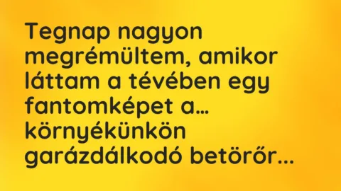 Vicc: Tegnap nagyon megrémültem, amikor láttam a tévében egy fantomképet…